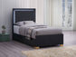 Marceline Wood Twin LED Panel Bed Black